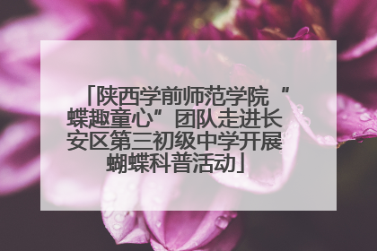 陕西学前师范学院“蝶趣童心”团队走进长安区第三初级中学开展蝴蝶科普活动
