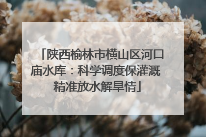 陕西榆林市横山区河口庙水库：科学调度保灌溉 精准放水解旱情