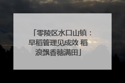 零陵区水口山镇：早稻管理见成效 稻浪飘香穗满田