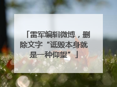 雷军编辑微博，删除文字“诋毁本身就是一种仰望”