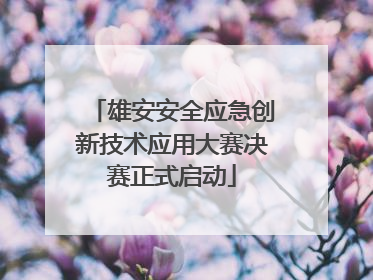 雄安安全应急创新技术应用大赛决赛正式启动