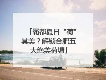 霸都夏日“荷”其美？解锁合肥五大绝美荷塘