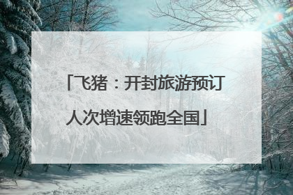 飞猪：开封旅游预订人次增速领跑全国