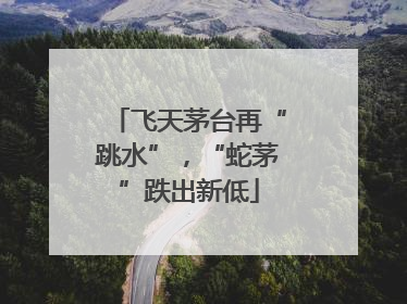 飞天茅台再“跳水”，“蛇茅”跌出新低