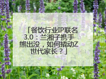 餐饮行业IP联名3.0：兰湘子携手熊出没，如何撬动Z世代家长？