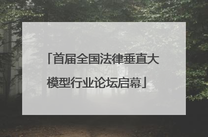 首届全国法律垂直大模型行业论坛启幕