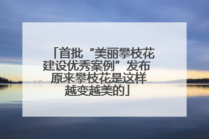 首批“美丽攀枝花建设优秀案例”发布 原来攀枝花是这样越变越美的
