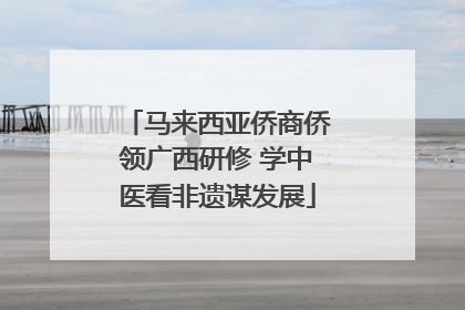马来西亚侨商侨领广西研修 学中医看非遗谋发展