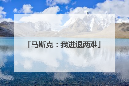 马斯克：我进退两难