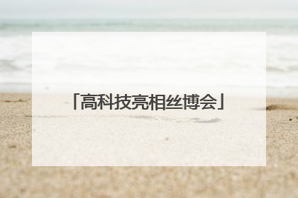 高科技亮相丝博会