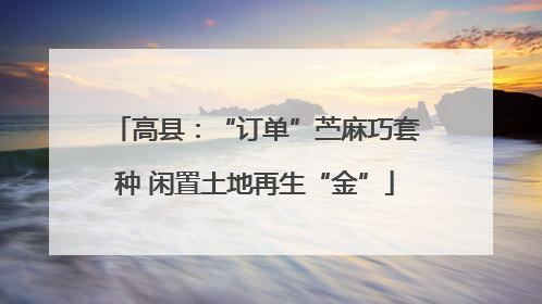 高县：“订单”苎麻巧套种 闲置土地再生“金”