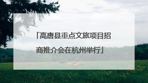 高唐县重点文旅项目招商推介会在杭州举行