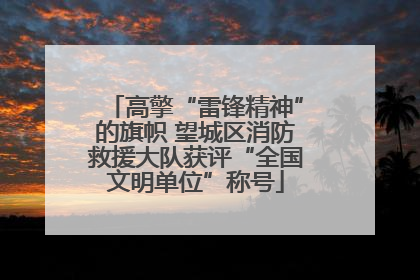 高擎“雷锋精神”的旗帜 望城区消防救援大队获评“全国文明单位”称号