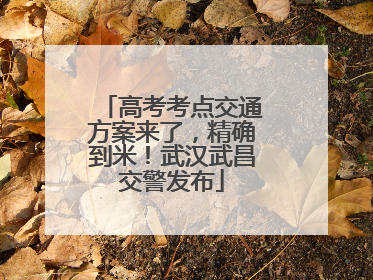 高考考点交通方案来了，精确到米！武汉武昌交警发布