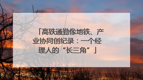 高铁通勤像地铁、产业协同创纪录：一个经理人的“长三角”