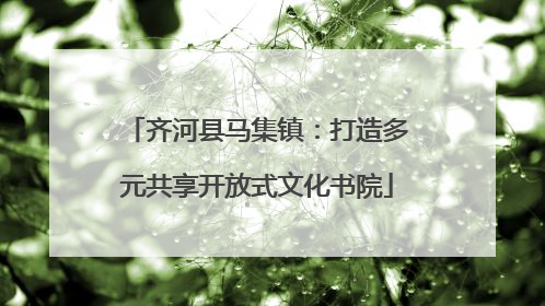齐河县马集镇：打造多元共享开放式文化书院