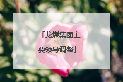 龙煤集团主要领导调整