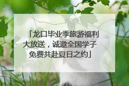 龙口毕业季旅游福利大放送，诚邀全国学子免费共赴夏日之约