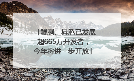 鲲鹏、昇腾已发展超665万开发者，今年将进一步开放