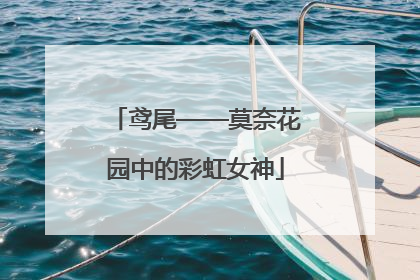鸢尾——莫奈花园中的彩虹女神