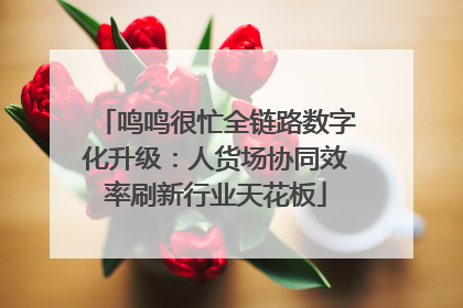 鸣鸣很忙全链路数字化升级：人货场协同效率刷新行业天花板