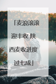 麦浪滚滚迎丰收 陕西麦收进度过七成