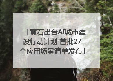 黄石出台AI城市建设行动计划 首批27个应用场景清单发布