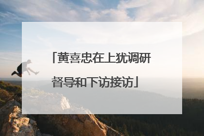 黄喜忠在上犹调研督导和下访接访