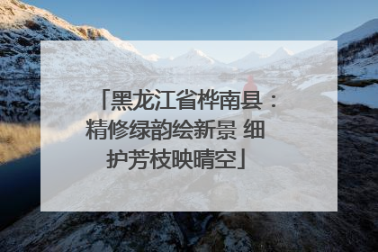 黑龙江省桦南县：精修绿韵绘新景 细护芳枝映晴空