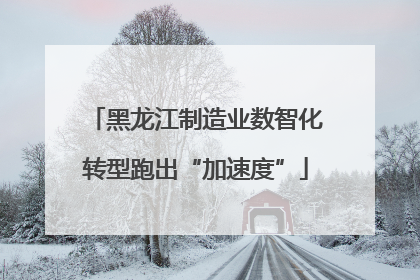 黑龙江制造业数智化转型跑出“加速度”