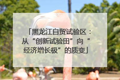 黑龙江自贸试验区：从“创新试验田”向“经济增长极”的质变
