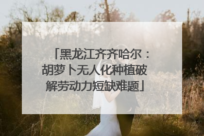 黑龙江齐齐哈尔：胡萝卜无人化种植破解劳动力短缺难题
