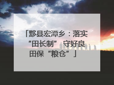 黟县宏潭乡：落实“田长制” 守好良田保“粮仓”