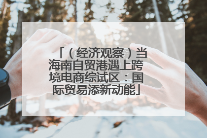 （经济观察）当海南自贸港遇上跨境电商综试区：国际贸易添新动能