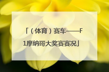 （体育）赛车——F1摩纳哥大奖赛赛况
