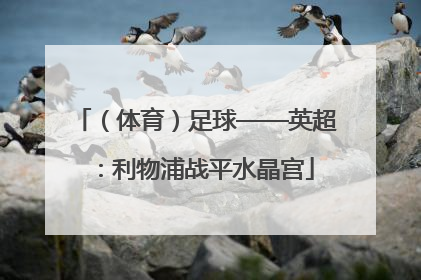 （体育）足球——英超：利物浦战平水晶宫