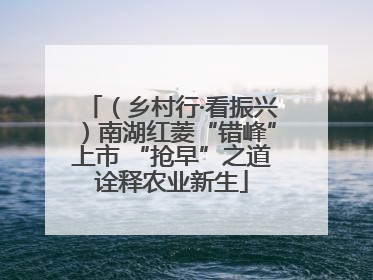 （乡村行·看振兴）南湖红菱“错峰”上市 “抢早”之道诠释农业新生