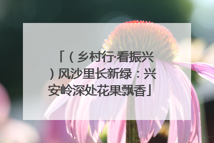 （乡村行·看振兴）风沙里长新绿：兴安岭深处花果飘香
