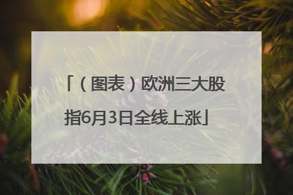 （图表）欧洲三大股指6月3日全线上涨