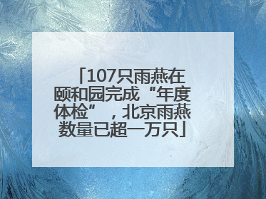 107只雨燕在颐和园完成“年度体检”，北京雨燕数量已超一万只