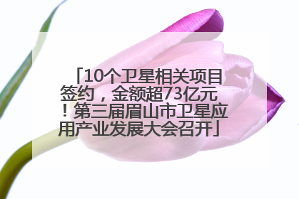 10个卫星相关项目签约，金额超73亿元！第三届眉山市卫星应用产业发展大会召开