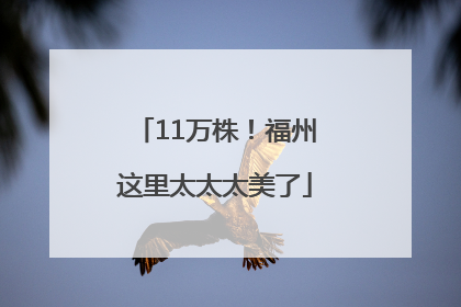 11万株！福州这里太太太美了