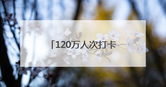 120万人次打卡！兰州城关端午文旅盛宴闪耀黄河之滨