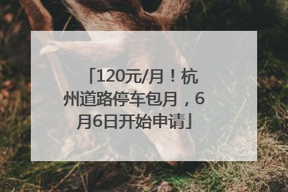 120元/月！杭州道路停车包月，6月6日开始申请