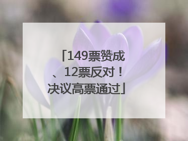 149票赞成、12票反对！决议高票通过