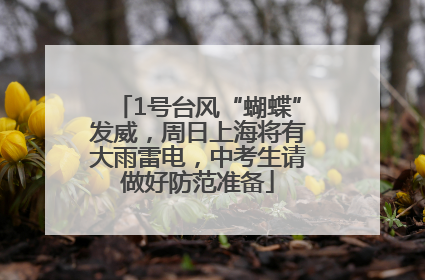 1号台风“蝴蝶”发威，周日上海将有大雨雷电，中考生请做好防范准备