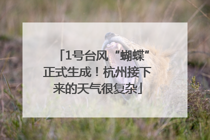 1号台风“蝴蝶”正式生成！杭州接下来的天气很复杂