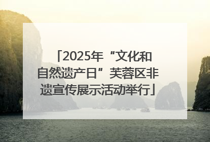 2025年“文化和自然遗产日”芙蓉区非遗宣传展示活动举行