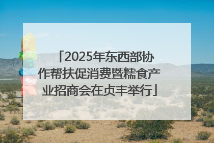 2025年东西部协作帮扶促消费暨糯食产业招商会在贞丰举行