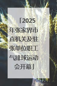 2025年张家界市直机关及驻张单位职工气排球运动会开幕